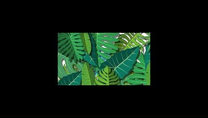 구미출장안마 {Ø1Ø*5628*Ø391}【카톡VIP0133】구미출장샵'예약'구미출장마사지 구미여대생출장 구미여고생출장 구미콜걸샵