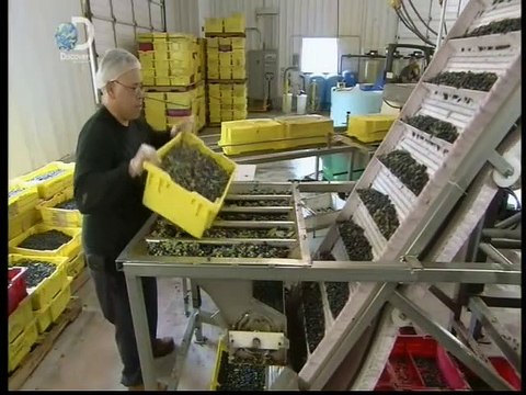 Jak se to dělá S28E02 - Pasta Dies, Blueberries, Composting Toilets, Surge Arresters -dokument ( Dokumenty.TV)