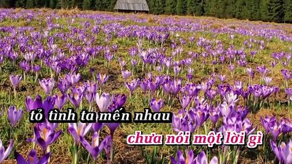 [Karaoke] Sầu Tím Thiệp Hồng - Anh Thơ ft. Hồ Quang 8 [Beat]