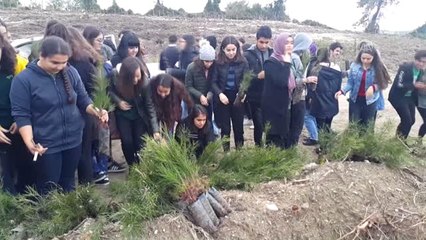 Kadirli'de Öğrenciler Fidan Dikti