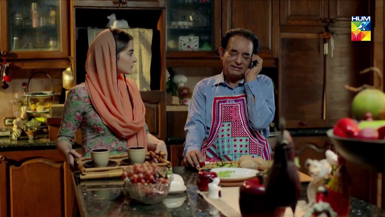 Baandi Epi 15 HUM TV Drama 28 December 2018