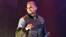 Chris Brown Charged With Misdemeanors For Possession of Monkey Without Permit | Billboard News