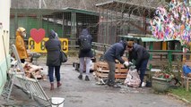 مركز للحيوانات البرية في سان بطرسبورغ يعوض غياب الدولة