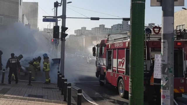 대구서 달리던 승용차 불...인명 피해 없어 / YTN