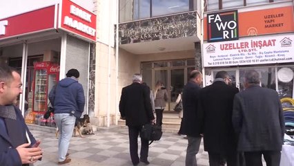 Kırıkkale'de Sokak Köpeklerinin Zehirlendiği İddiası