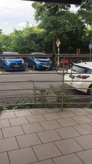 Malaysian Monkey Vandalizes Car