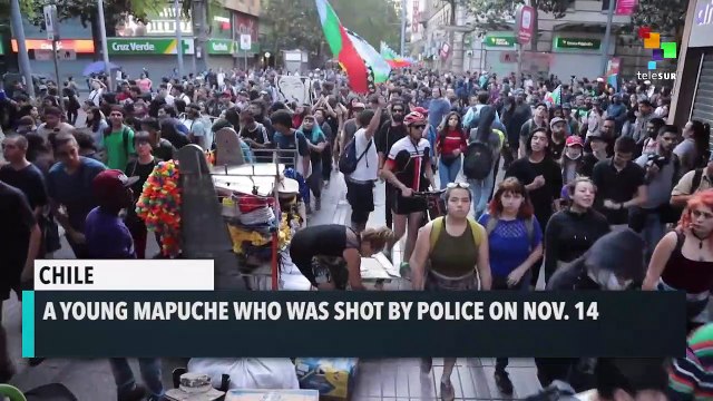 Chilean Police Repress March In Defense Of Mapuche's Rights