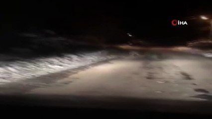 Aç kalan domuz sürüsü kasabaya indi