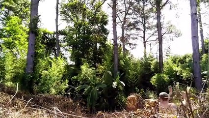 There Was An Attempt, Then A Fail (March 2018)  FailArmy