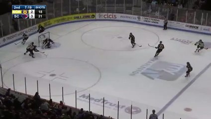 ECHL Norfolk Admirals 3 at South Carolina Stingrays 3