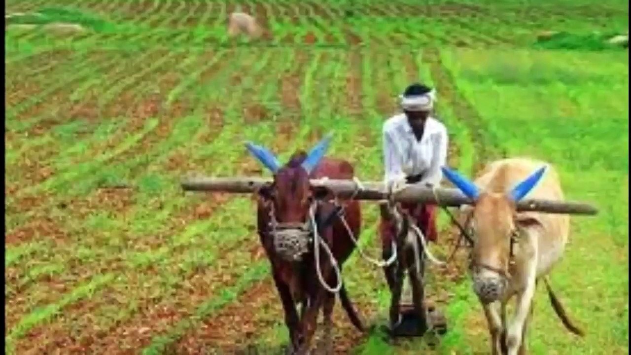 28 दिसम्बर  का बिहार का आकाशवाणी से समाचार सूने, Bihar News Aakashwani Samachar