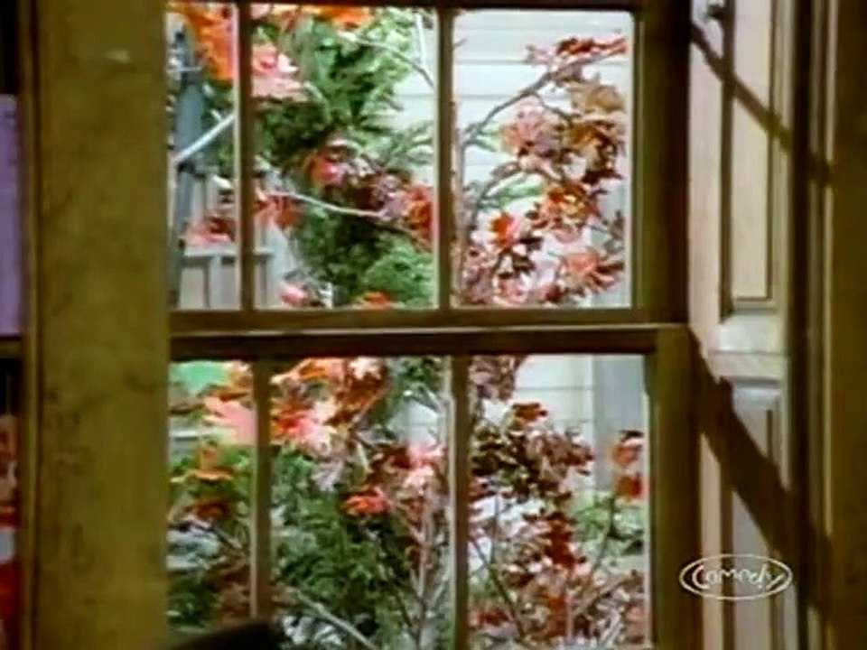 Newhart - 503 - Dick The Kid