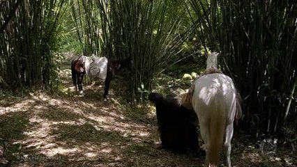 JESUS CAPITULO 114 COMPLETO