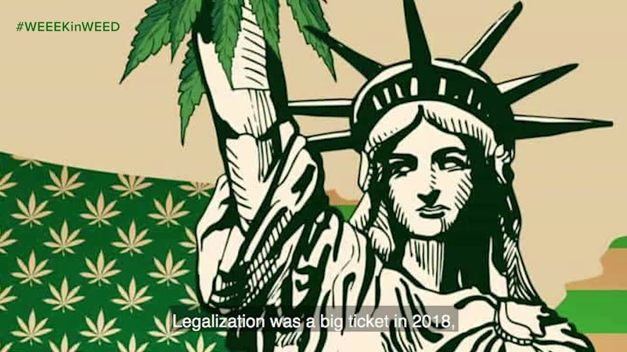 Cannabis Legalization on the Rise, CBD gets Federal Approval, and We're the Plug!