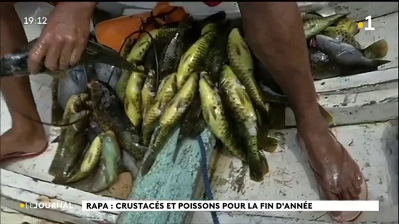 Repas de fête à Rapa