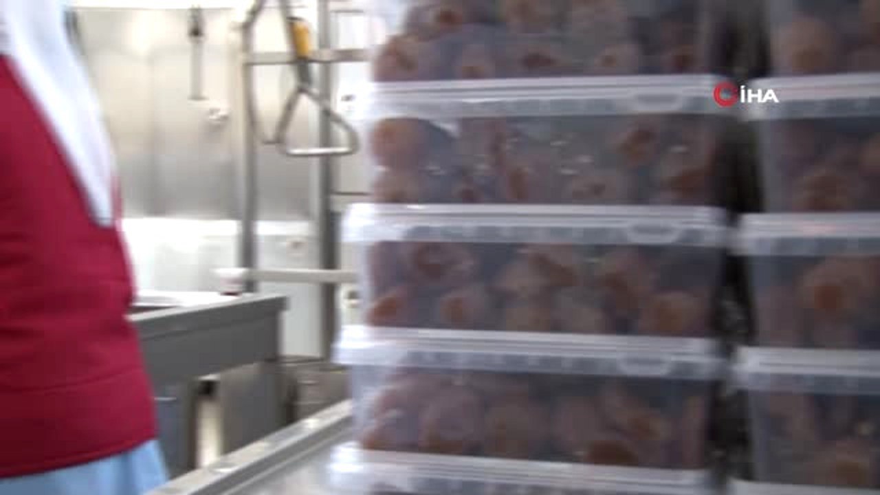 Bu Kirpi Her Eve Girer...çocuklara Kestane Şekerini 'Kirpiş' ile Sevdirmeyi Hedefliyorlar