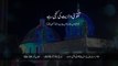 Taqwa Wilayat ki Kunji hay [Shaykh-ul-Islam Dr Muhammad Tahir-ul-Qadri]