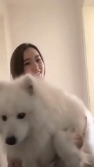 Cutest baby animals in the Animal Kingdom Video #1