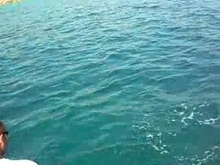 Espagne le Rio Ebro, Julien Foucher guide de pêche