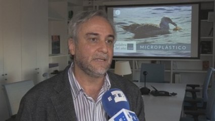 Microplástico: pequeños fragmentos para un gran problema