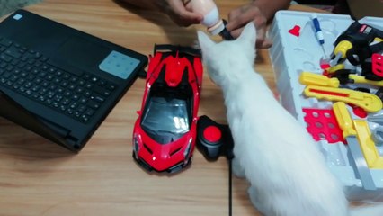 Destructed Toy Car Fix-up using Tools in my Toy Garage.Tom ToysReview.