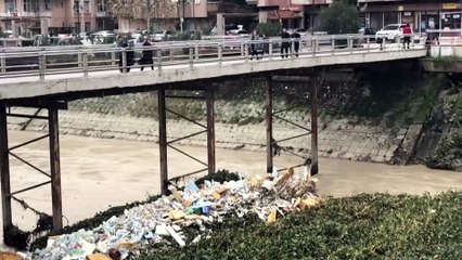 Asi Nehri üzerindeki su sümbülleri temizleniyor - HATAY