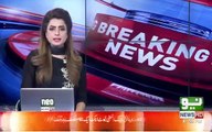 why pia fired so many pilots 29dec2018