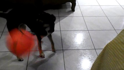 Stella Dec18 playing with gym ball Bourbon_lancy