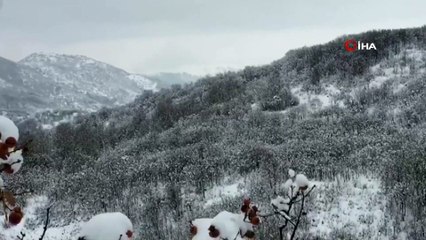 Bitlis’te toprağa gömülü 160 kilogram EYP ele geçirildi