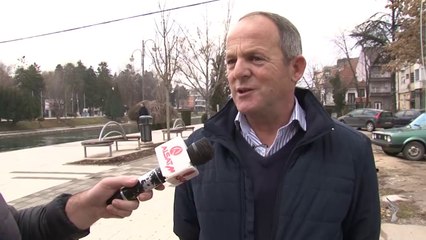 Struga përballet me problemin e qenve endacakë