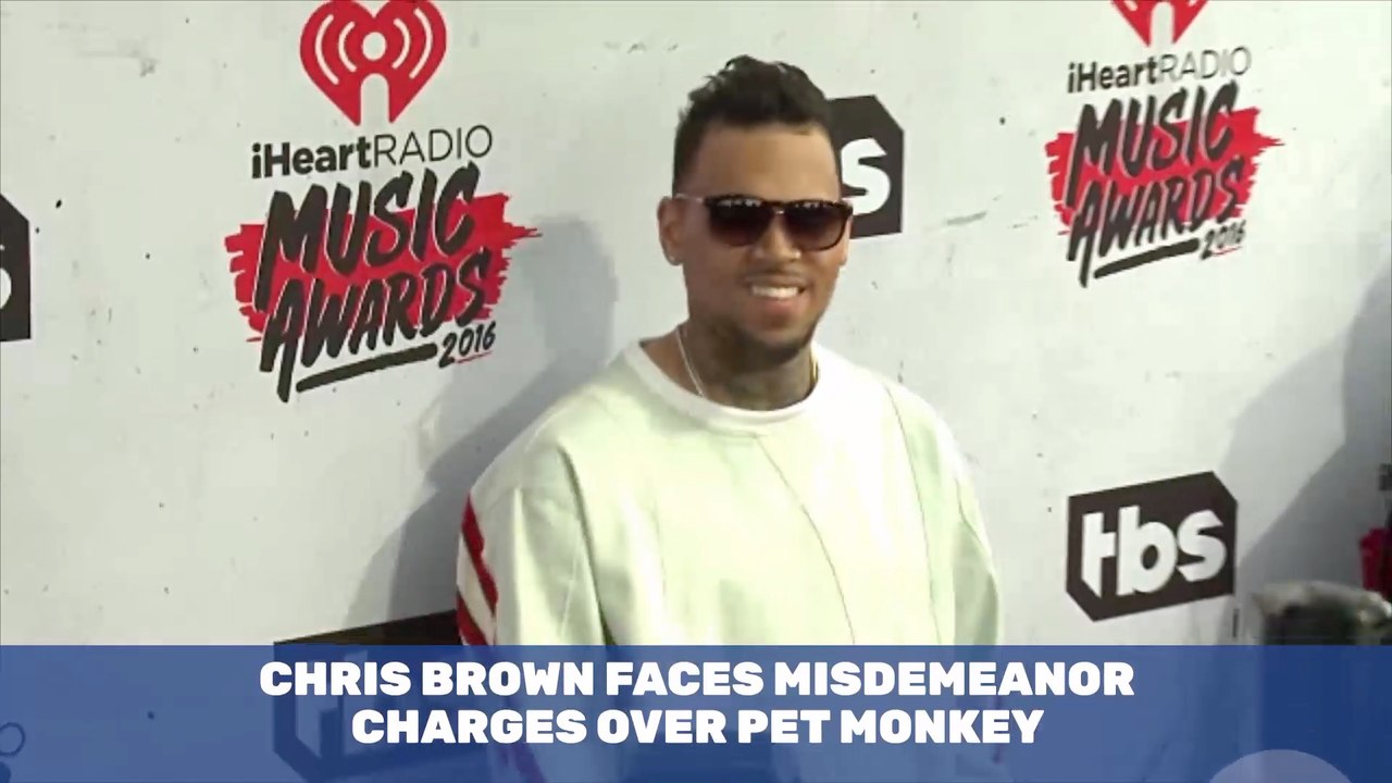 Chris Brown Is Caught Monkeying Around And It C...