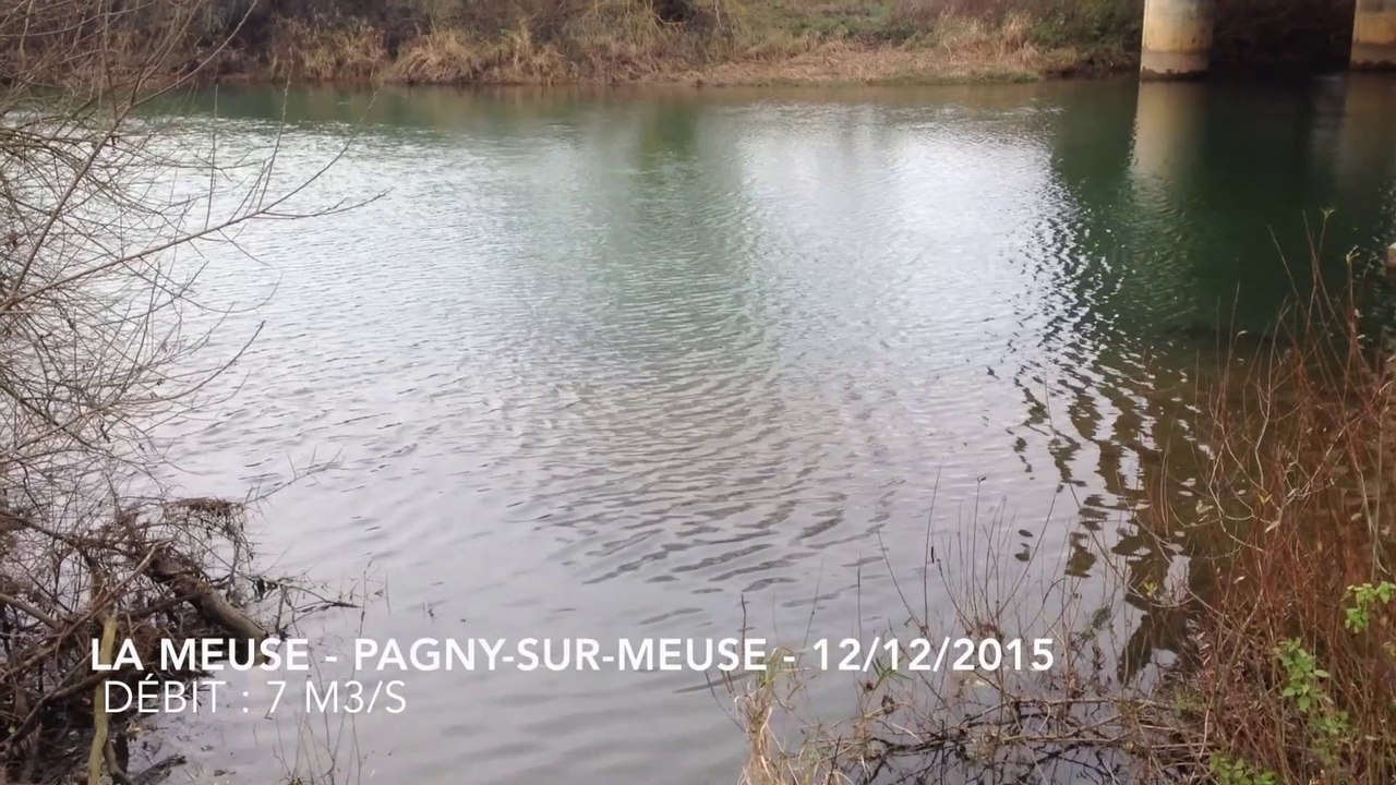 Meuse - Pagny-sur-Meuse - 12/12/2015