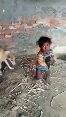Ce bébé veut prendre un chiot mais la maman chien n'est pas d'accord