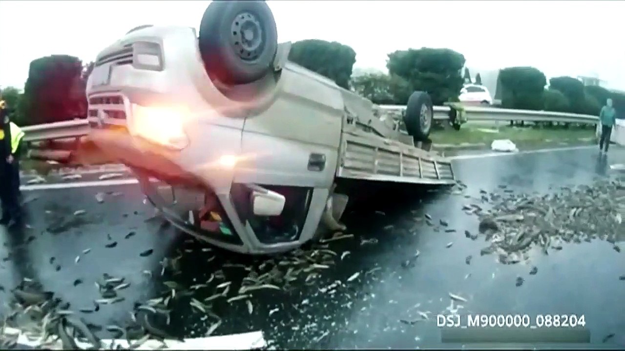 Un camion se renverse sur l'autoroute et la recouvre de millier de poissons