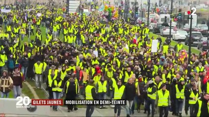 "Gilets jaunes" : mobilisation en demi-teinte