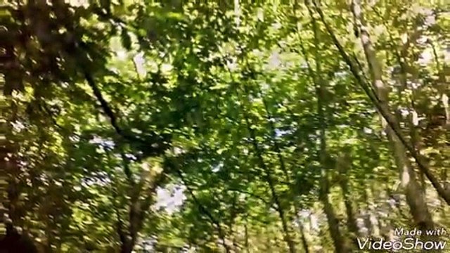 Stansted house, park and woods Rowlands castle