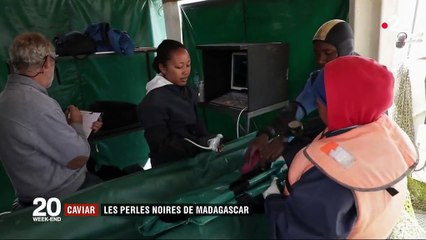 Madagascar : à la découverte du premier caviar africain