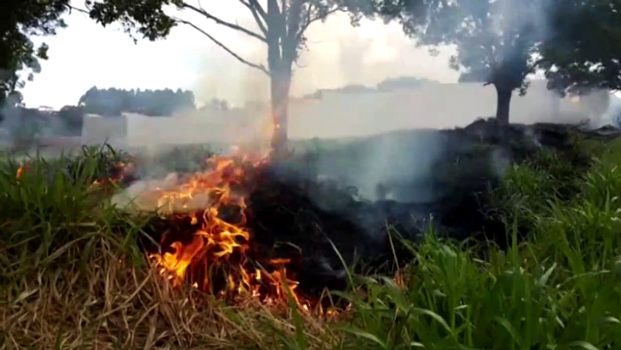 Bombeiros são mobilizados para combater incêndio ambiental