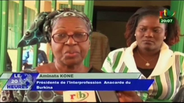 RTB/Rencontre des acteurs de la filière anacarde