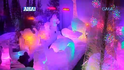 AHA!: Isang theme park sa Cebu, dadayuhin ni Ayra Mariano!