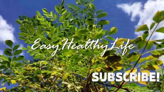 Moringa Plant Green Nature Banana Plant Flying Bird