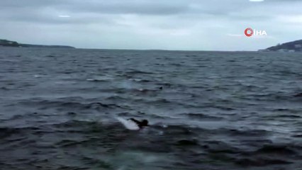 Büyükada'da denizde can pazarı...Büyükada'dan hareket eden motordan yaşlı bir kadın denize düştü