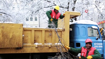 Kar yağışı sonrası kırılan ağaçlar kaldırılıyor