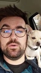 Jingle Bells Chihuahua Remix