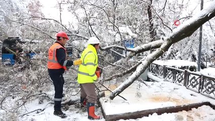 Kar Yağışı Sonrası Kırılan Ağaçlar Kaldırılıyor