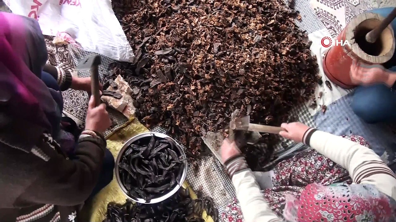 Keçiboynuzu pekmezi kadınların geçim kaynağı oldu