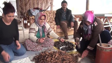 Keçiboynuzu Pekmezi Kadınların Geçim Kaynağı Oldu