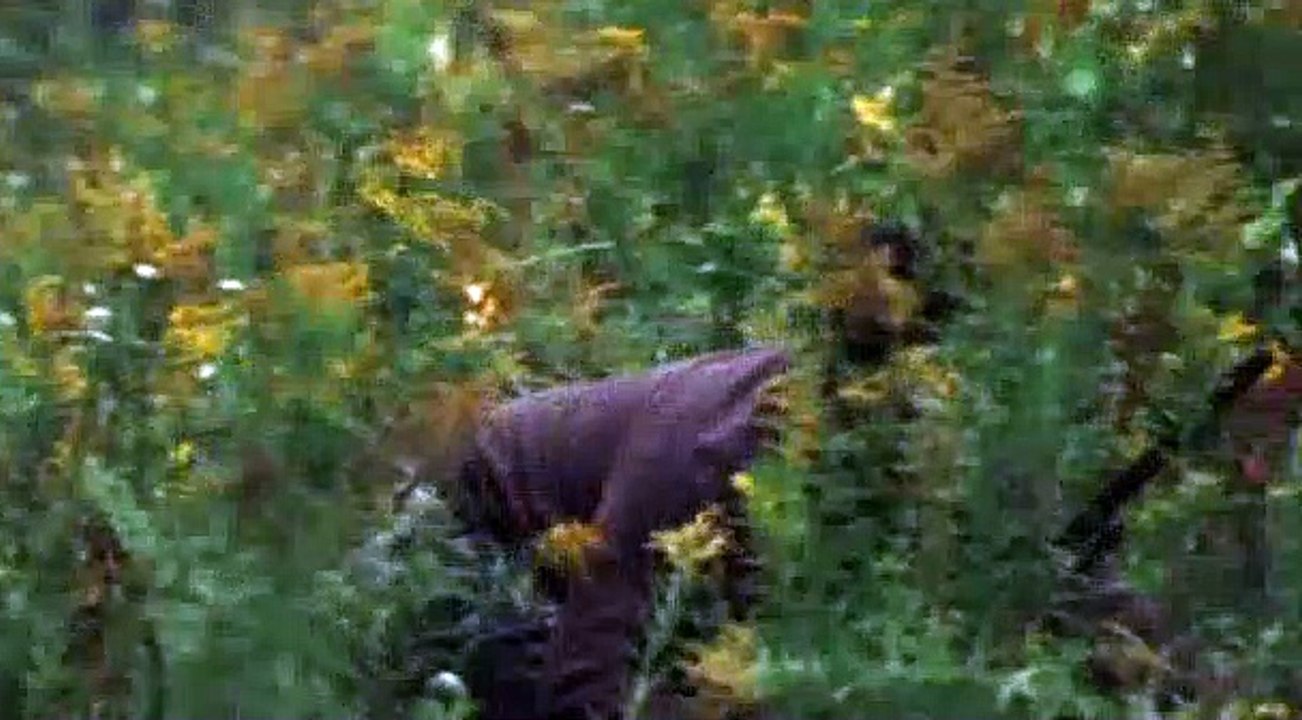 Escape.at.Dannemora.S01E07 Part 02 video Dailymotion