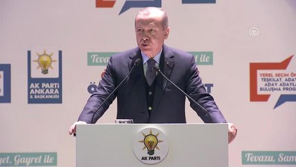Cumhurbaşkanı Erdoğan: "Gözünü Ankara'ya Dikenlere İnşallah Derslerini Bir Kez Daha Vereceğiz"