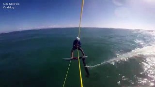 Kite-surfer kolliderer med hai